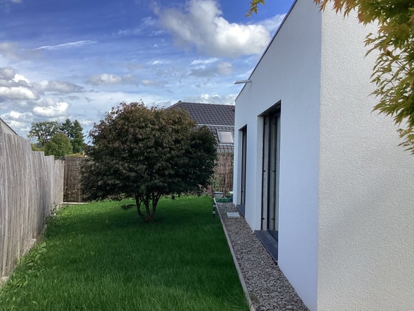 Außergewöhnliches Anwesen in Hagenthal-le-Haut 3