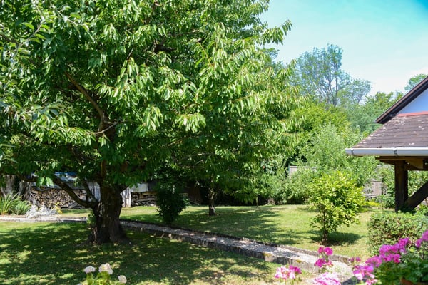 Folgensbourg – Freistehendes Einfamilienhaus mit großem Grundstück und privatem Wald 4