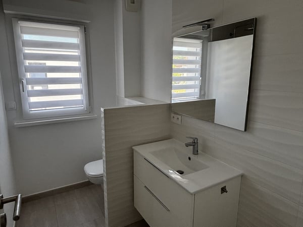 Einfamilienhaus mit 7 Zimmern zu vermieten in Sierentz 22