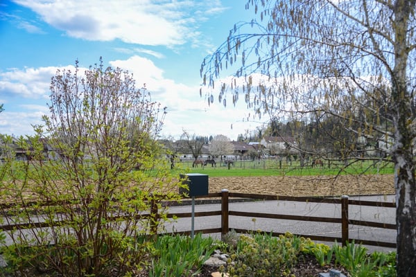 EXKLUSIVES EINFAMILIENHAUS AM WALDRAND – RUHE, NATUR & NÄHE ZU BASEL 15