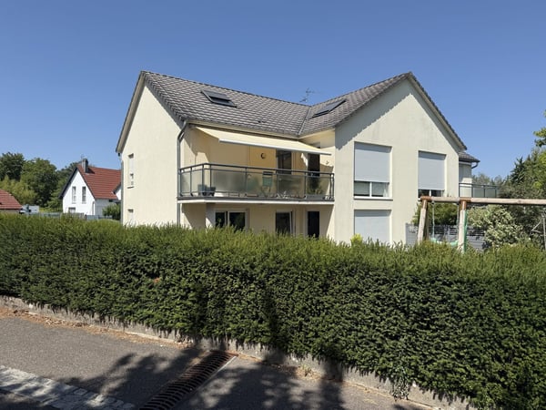 Buschwiller – Bright duplex apartment with terrace, no overlook, green setting 1