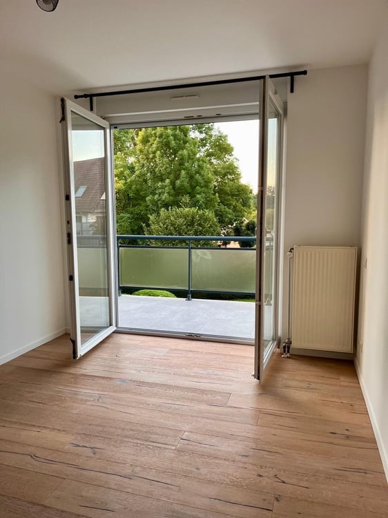 Buschwiller – Bright duplex apartment with terrace, no overlook, green setting 4