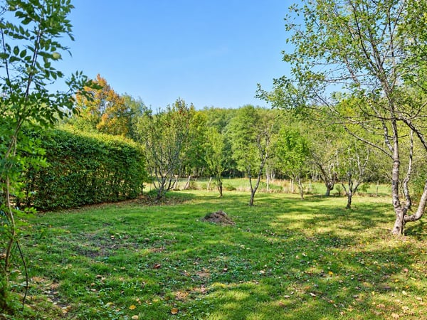 Contemporary 160 m² chalet on 1.56 hectares of land with equestrian facilities 18