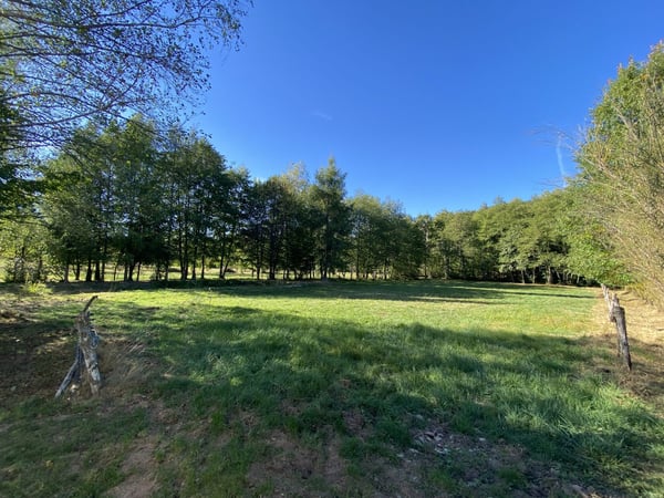 Contemporary 160 m² chalet on 1.56 hectares of land with equestrian facilities 43