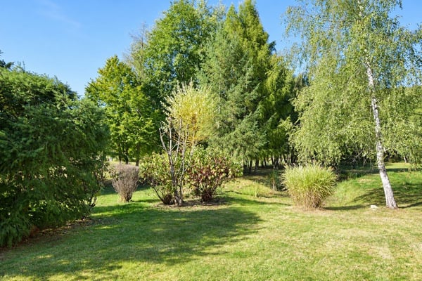 Contemporary 160 m² chalet on 1.56 hectares of land with equestrian facilities 17
