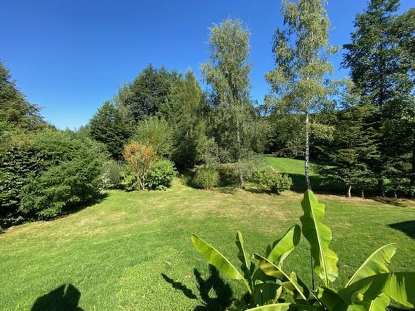 Contemporary 160 m² chalet on 1.56 hectares of land with equestrian facilities 60