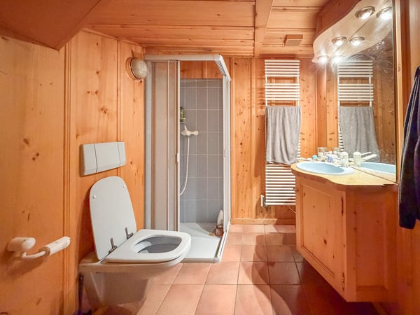 Maison indépendante avec immeuble locatif et divers annexes 12