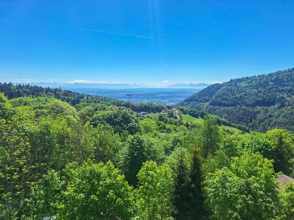 Appartement de 2.5 pces avec balcon au 1er étage Magnifique vue 2