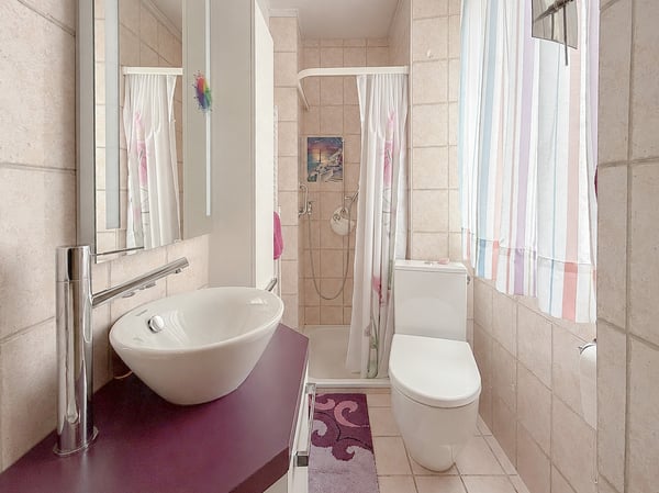 Maison indiv. de 6.5 pces, 2 studios, grande dépendance avec garage 12