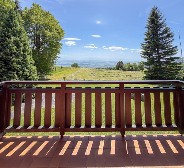 Chalet de 4 pces sur grand terrain de 3'316 m2 Vue imprenable 8