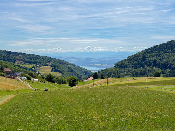 Spacieux appartement de 7.5 pces de 180 m2 Magnifique vue 6