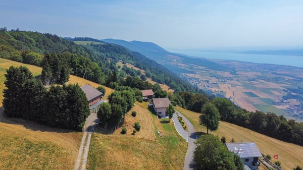 Maison individuelle de 6.5 pces avec magnifique vue panoramique 6