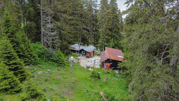 Buvette d'alpage au coeur de la nature 6