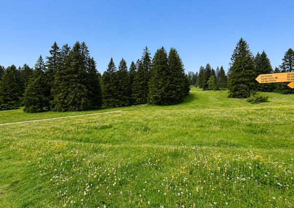 Buvette d'alpage au coeur de la nature 5