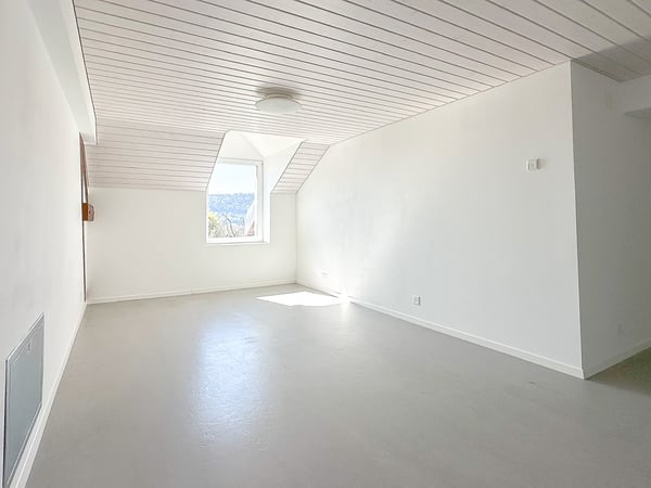 Appartement de 2.5 pièces d'env. 130 m2 au dernier étage 6