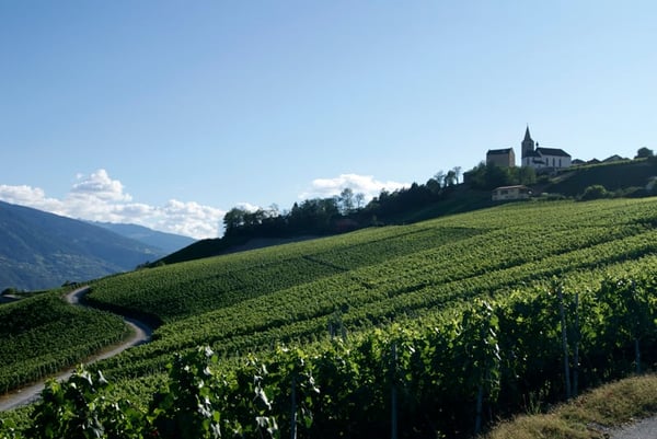 TERRAIN À BÂTIR - VALAIS - ENTRE SIERRE ET CRANS-MONTANA - VUE 1
