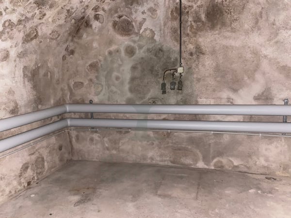 Local commercial situé dans la rue animé du Faubourg de France 5