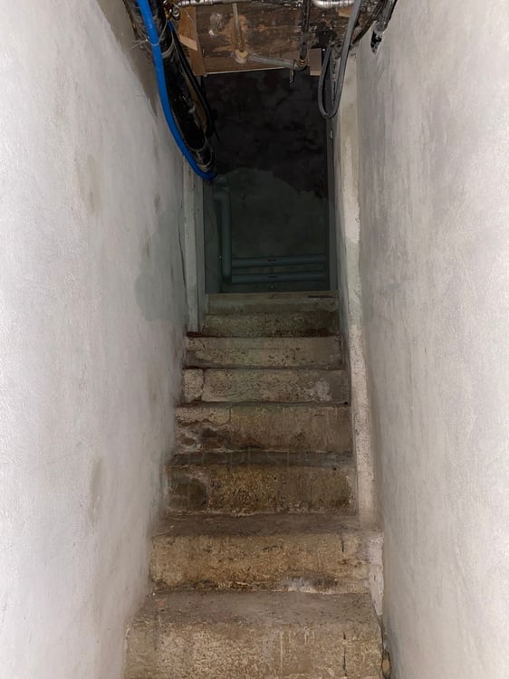 Local commercial situé dans la rue animé du Faubourg de France 4