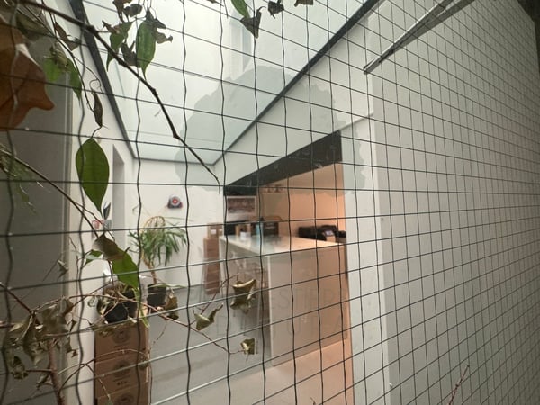 Surface de bureaux en vieille ville de Porrentruy 9