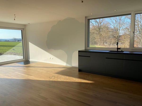 Belle maison d'architecte de 1.5 pièces de plein pied 6