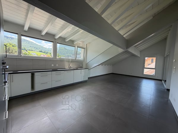 Magnifique appartement de 4.5 pièces Minergie avec terrasse 6