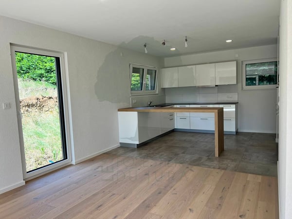 Charmante maison familiale de 1.5 pièces avec beaux volumes 3