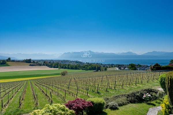 Maison de village avec vue Lac et Mont Blanc 1