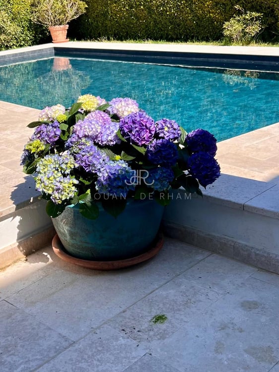 OFF MARKET - Maison familiale Founex 2