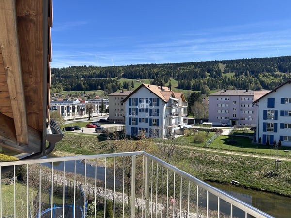 Bel appartement haut standing - Duplex en Attique 3