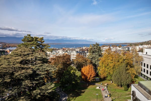 Malagnou | Spacieux appartement rénové au coeur de Genève 13