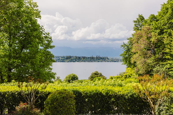Cologny ? Propriété de caractère avec vue panoramique sur le Léman 11