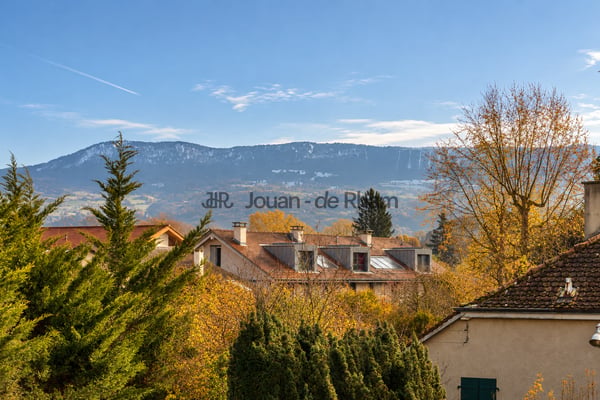 Puplinge - Magnifique maison villageoise rénovée 12