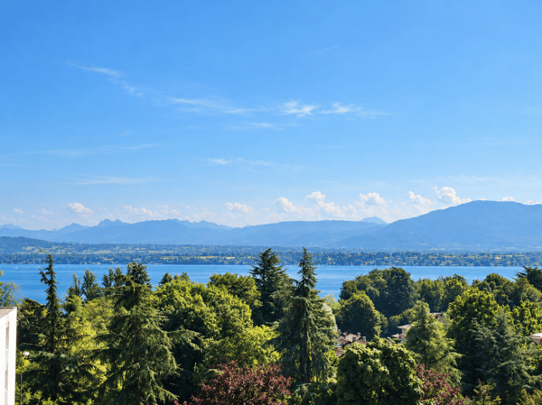 Appartement de 6 pièces avec belle vue sur le lac 13