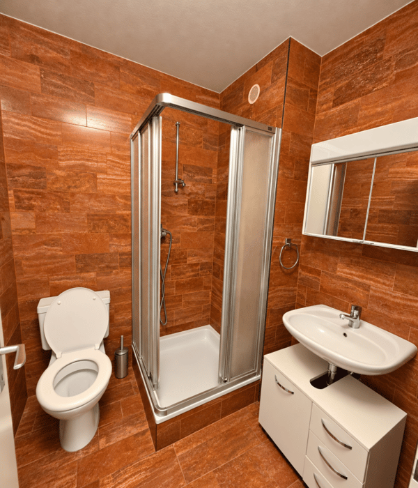 Villa familiale Grand-Lancy 12