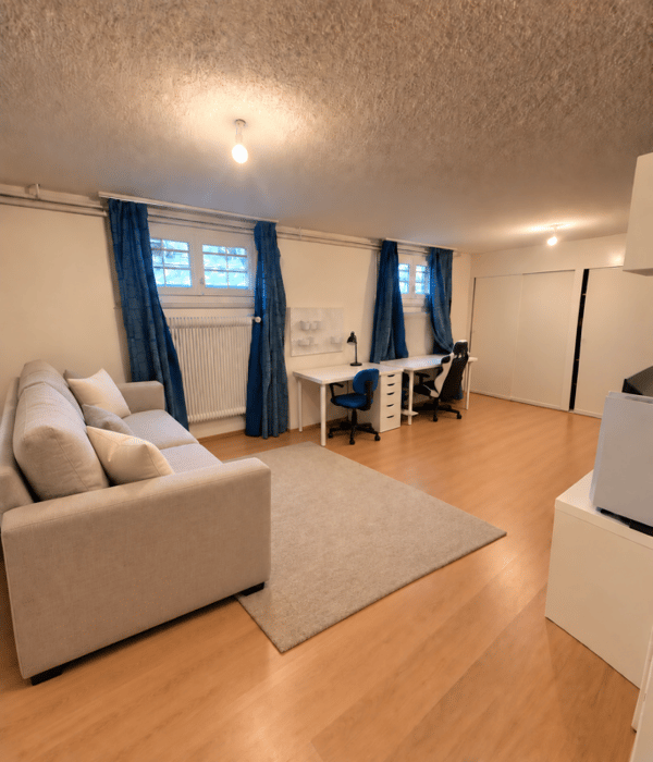 Villa familiale Grand-Lancy 3