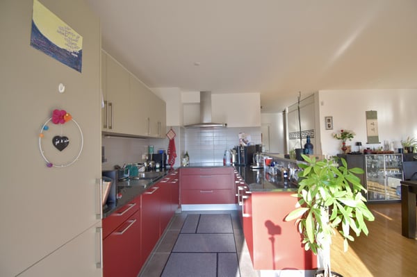 Superbe duplex lumineux à Eysins 4