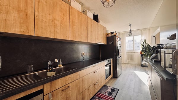 Appartement 1 pièces 17 m², avec vue dégagée et fraichement rénové 3