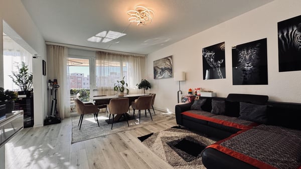 Appartement 1 pièces 17 m², avec vue dégagée et fraichement rénové 1