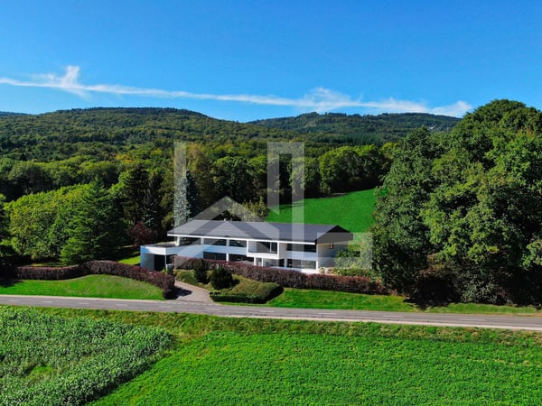 Une vue à couper le souffle 9