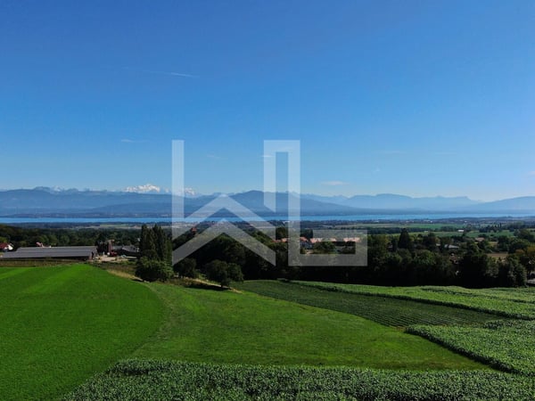 Une vue à couper le souffle 1