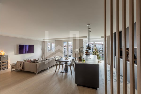 Appartement moderne entièrement rénové 2