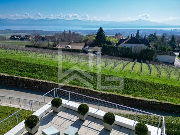 Villa contemporaine d'exception avec panorama spectaculaire sur le lac 2