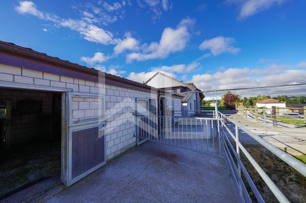 Magnifique propriété équestre composée de 3 logements 5