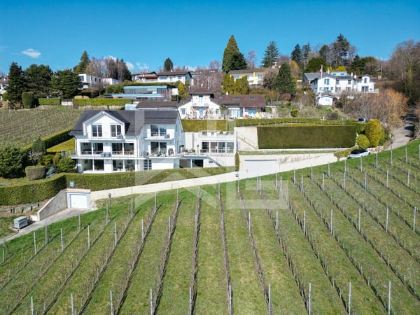 Villa contemporaine d'exception avec panorama spectaculaire sur le lac 1