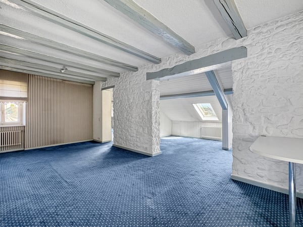 Versoix: Maison de charme pieds dans l'eau, avec port privé 12