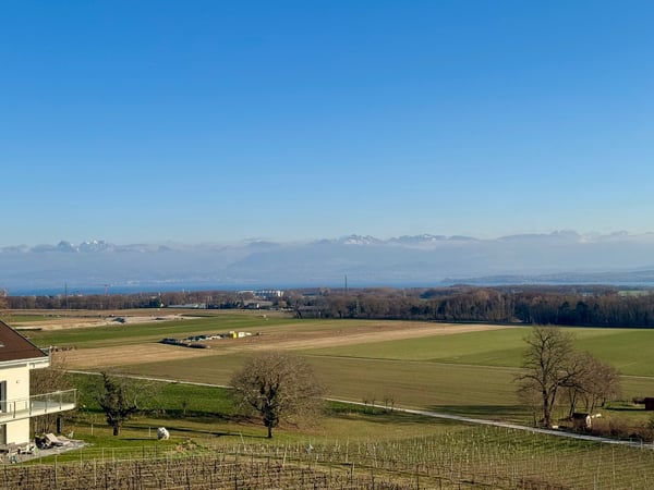 Charmante maison individuelle de 7 pièces à Coinsins avec grand jardin privatif 23