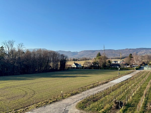 Charmante maison individuelle de 7 pièces à Coinsins avec grand jardin privatif 25