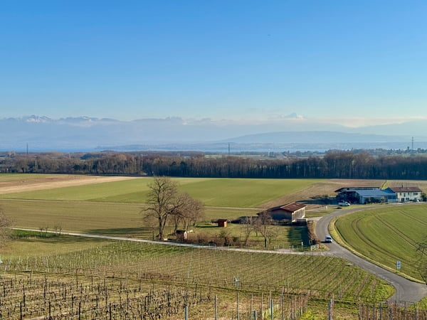 Charmante maison individuelle de 7 pièces à Coinsins avec grand jardin privatif 21