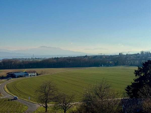 Charmante maison individuelle de 7 pièces à Coinsins avec grand jardin privatif 22