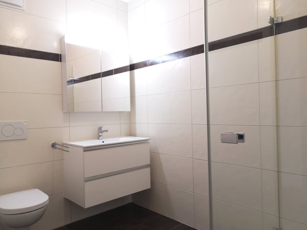 Spacieux appartement duplex de 5.5 pièces avec vue panoramique à Blonay 11